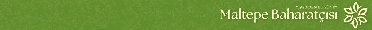 MALTEPE BAHARATÇISI 1980
